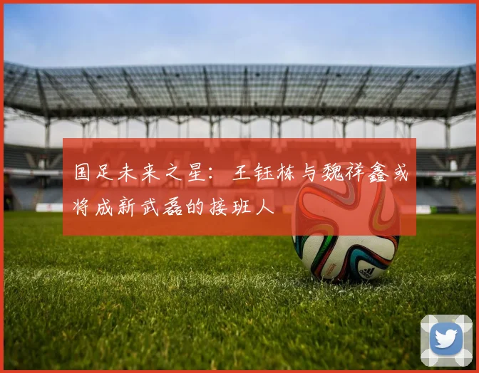 国足未来之星：王钰栋与魏祥鑫或将成新武磊的接班人