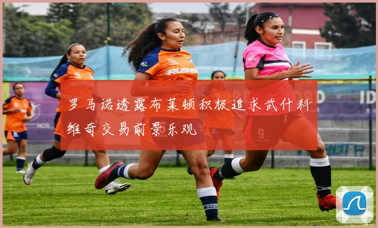 罗马诺透露布莱顿积极追求武什科维奇交易前景乐观