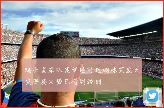 瑞士国家队集训地附近树林突发火灾现场火势已得到控制